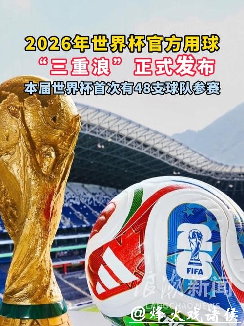 2026世界杯买球的成功案例与失败经验
